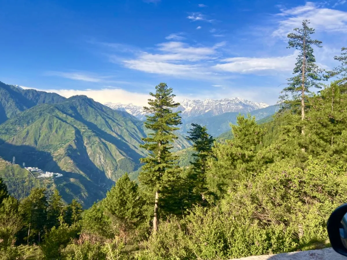 Pine forest and snow capped peaks looking up the Kaghan Valley